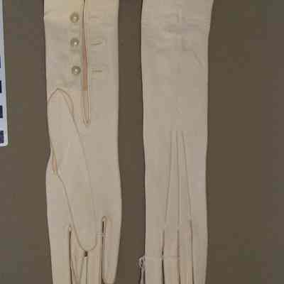 Gloves