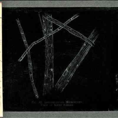 Origformat: Print-Photographic