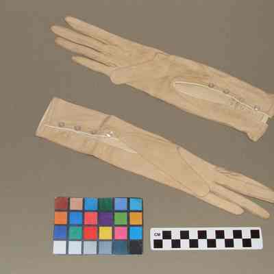 Gloves