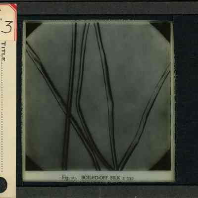 Origformat: Print-Photographic