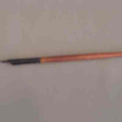 Pen