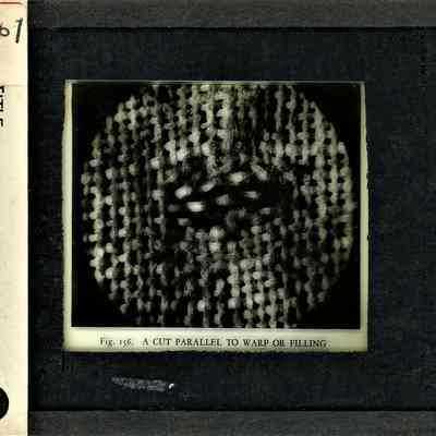 Glass-plate negative slide