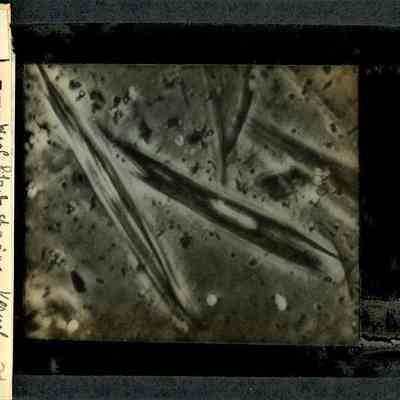 Origformat: Print-Photographic