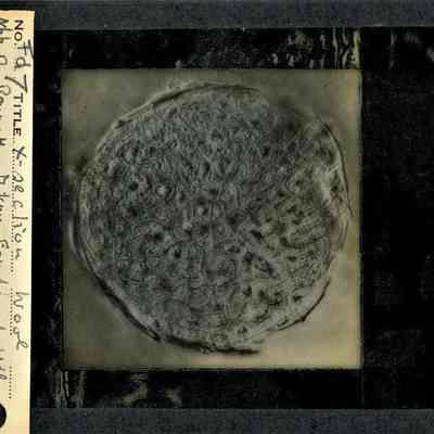 Origformat: Print-Photographic