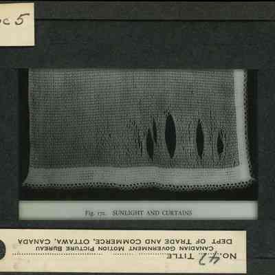 Glass-plate negative slide