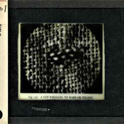 Origformat: Print-Photographic