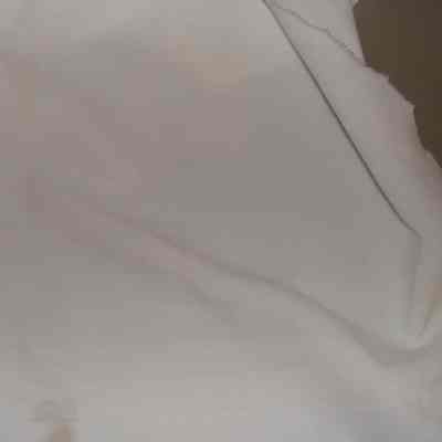 Fabric