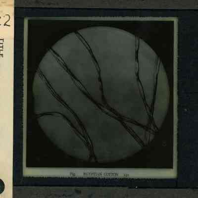 Origformat: Print-Photographic
