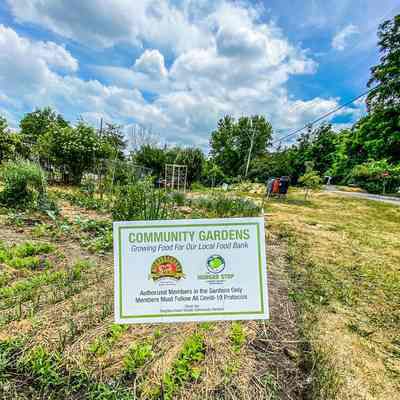 Community Garden During COVID-19