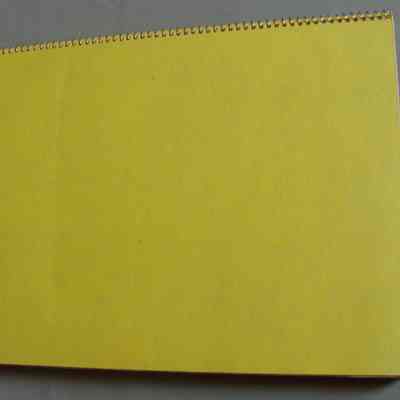 Appleton Women's Institute Scrapbook