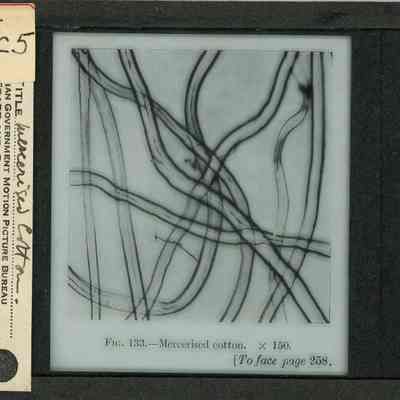 Origformat: Print-Photographic