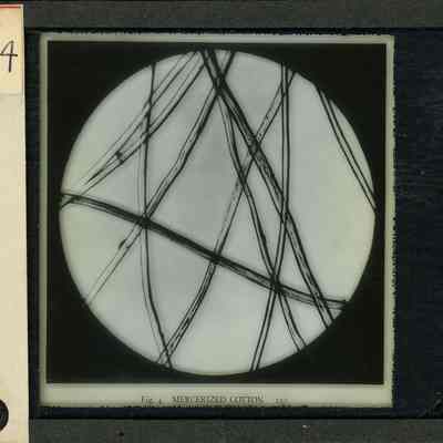 Glass-plate negative slide