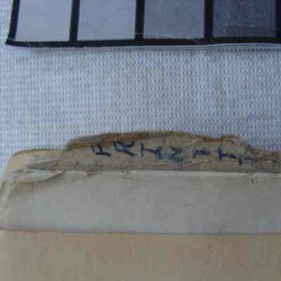 1991.05.02.02 (Tab; close up)