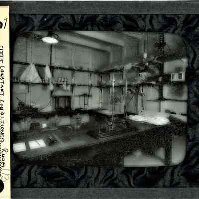 Glass-plate negative slide