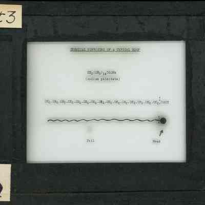 Origformat: Print-Photographic
