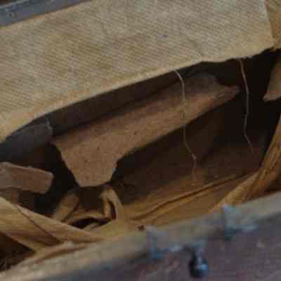 close-up of rips inside
