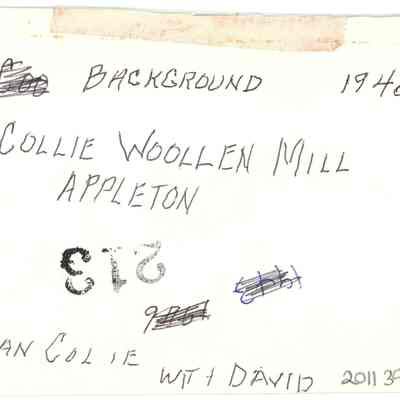 Collie Family