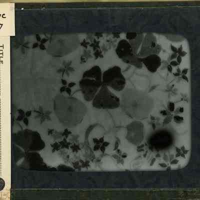 Glass-plate negative slide