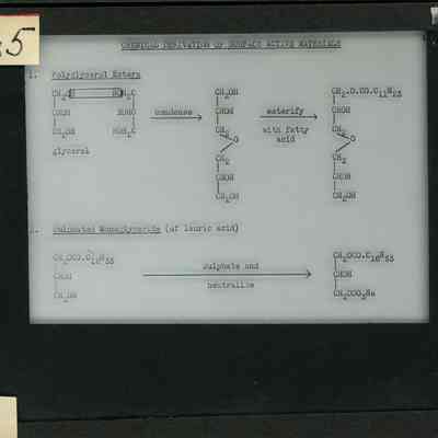 Glass-plate negative slide