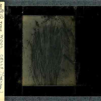 Origformat: Print-Photographic