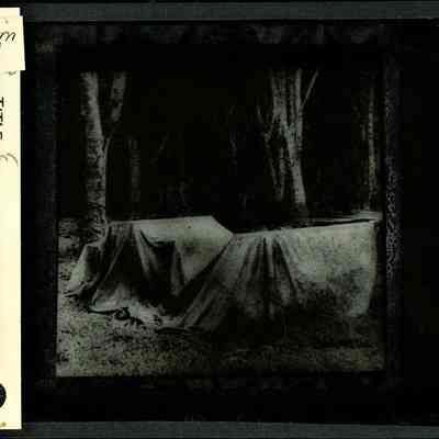 Origformat: Print-Photographic