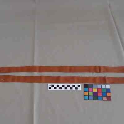 Shoelace