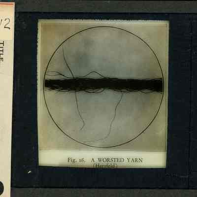 Glass-plate negative slide