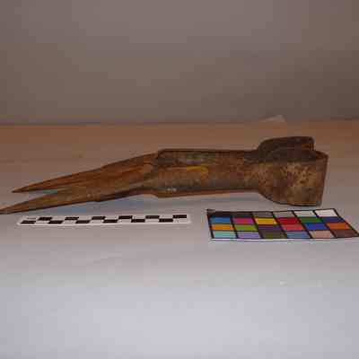 Sheep Shears
