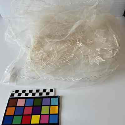 White lace veil