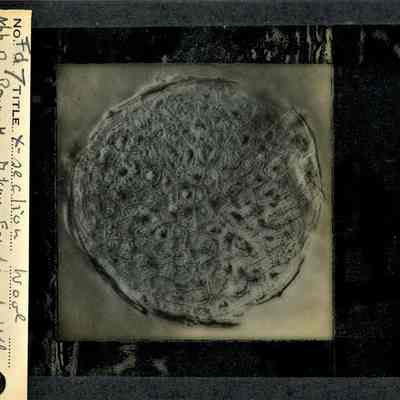 Glass-plate negative slide