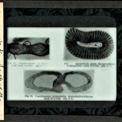 Origformat: Print-Photographic