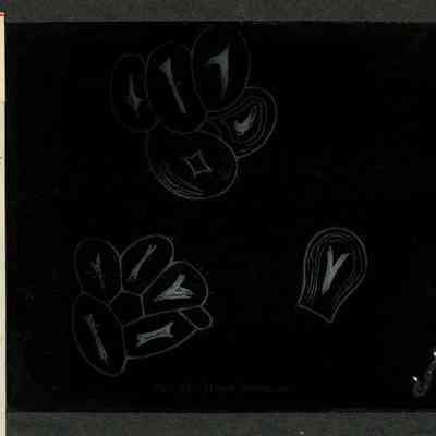 Origformat: Print-Photographic