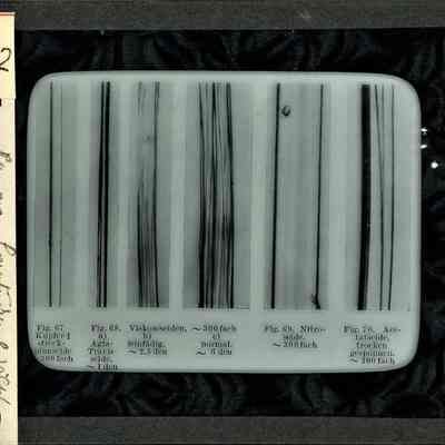 Origformat: Print-Photographic