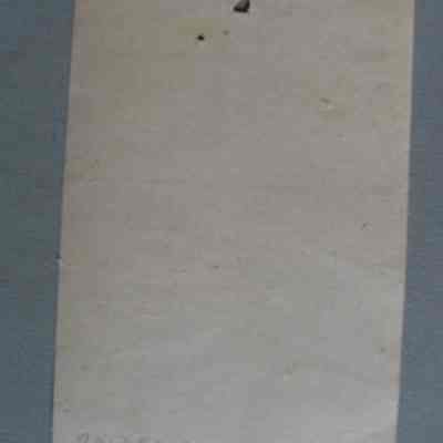 N. S. Lee & Son Hardware and Coal receipt