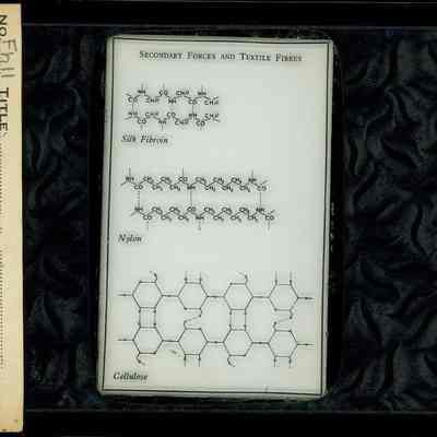 Origformat: Print-Photographic