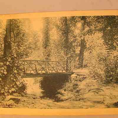 Rustic Bridge