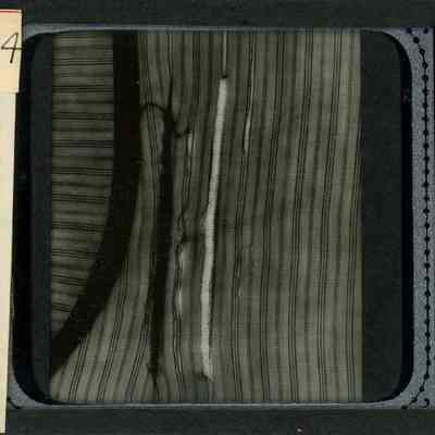 Origformat: Print-Photographic