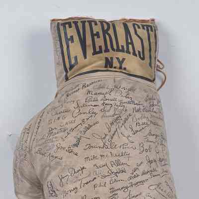 Barney Ross, Dempsey, Willard, Tunney, S. R. Robinson, Frazier, Forman, Sharkey, Zale, Jeffries, Walker, Root, Ali, Louis, etc.
