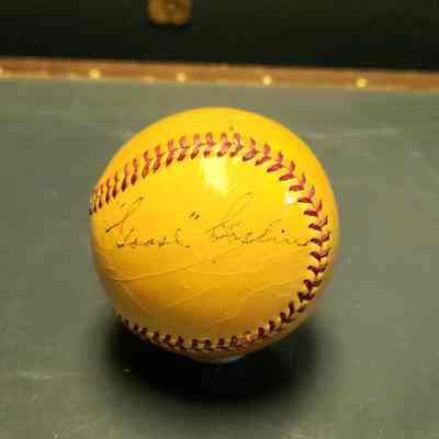 Goslin, Goose