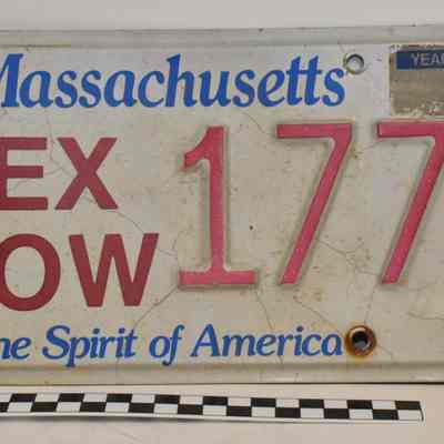 License Plate