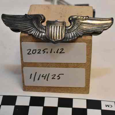 Pilot wings