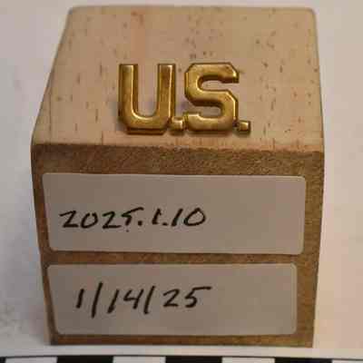 US Collar Insignia