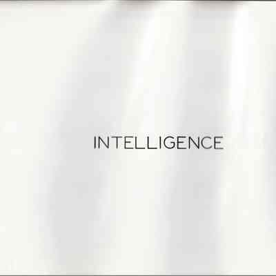 IMG150VMD154