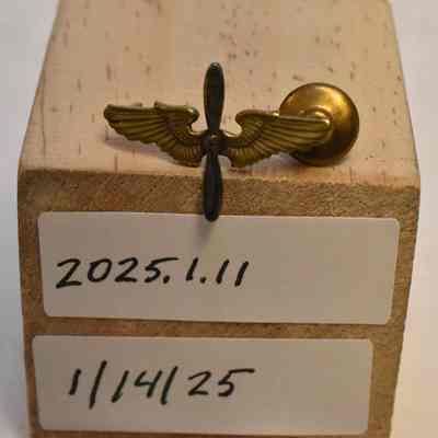 Aviation Collar Insignia