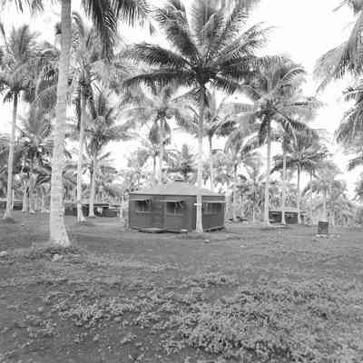 IMG018VMD154