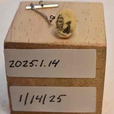 Scrimshaw Tie Tack