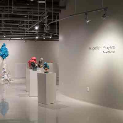 Angelfish Prayers by Amy Wachal