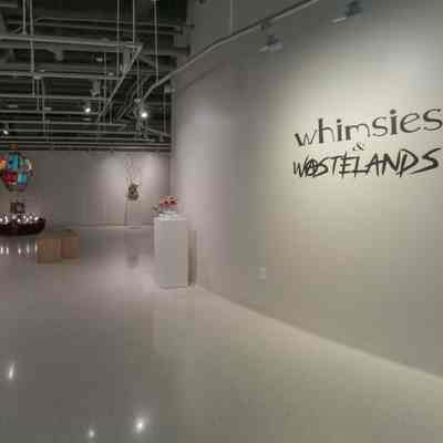 Whimsies and Wastelands