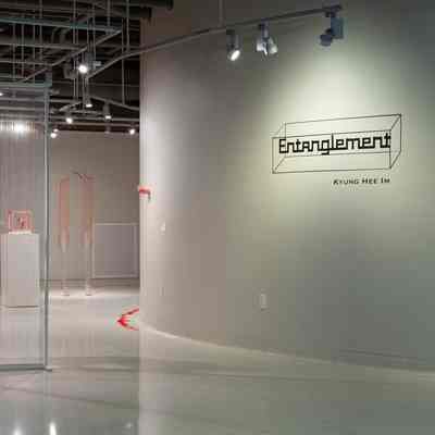 Entaglement by Kyung Hee Im