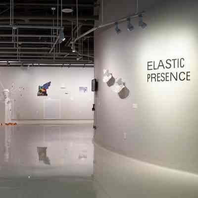 Elastic Presence